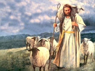 jesus_sheep